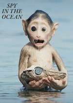 Watch Spy in the Ocean FMoviesFree
