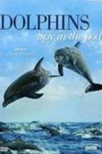 Watch Dolphins: Spy in the Pod FMoviesFree