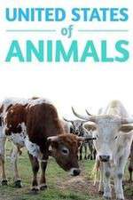 Watch United States of Animals FMoviesFree