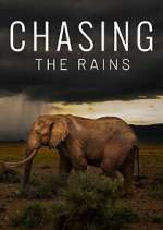 Watch Chasing the Rains FMoviesFree