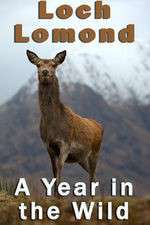 Watch Loch Lomond: A Year in the Wild FMoviesFree