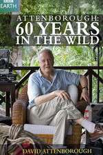 Watch Attenborough 60 Years in the Wild FMoviesFree