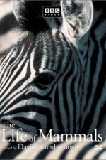Watch The Life of Mammals FMoviesFree
