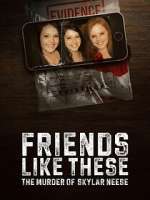 Watch Friends Like These: The Murder of Skylar Neese FMoviesFree