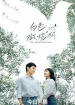 Watch The White Olive Tree FMoviesFree