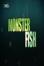 Watch National Geographic Monster Fish FMoviesFree
