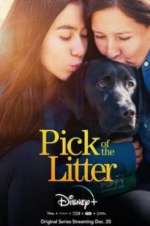 Watch Pick of the Litter FMoviesFree
