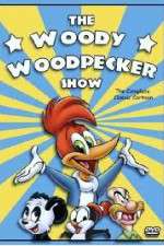 Watch The Woody Woodpecker Show FMoviesFree