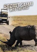 Watch Secret Safari: Into the Wild FMoviesFree