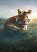 Watch Asia FMoviesFree