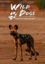 Watch Wild Dogs: Running with the Pack FMoviesFree