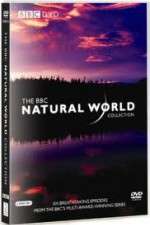 Watch The Natural World FMoviesFree