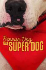 Watch Rescue Dog to Super Dog (US) FMoviesFree