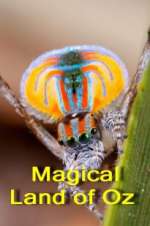 Watch Magical Land of Oz FMoviesFree