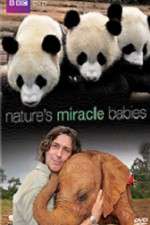Watch Natures Miracle Babies FMoviesFree