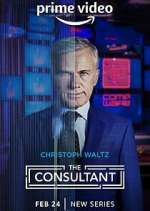 Watch The Consultant FMoviesFree