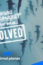Watch Nature\'s Strangest Mysteries: Solved FMoviesFree