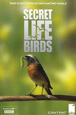 Watch Iolo's Secret Life of Birds FMoviesFree