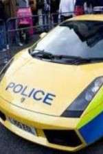 Watch Ultimate Police Interceptors FMoviesFree