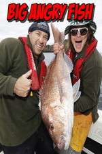 Watch Big Angry Fish FMoviesFree