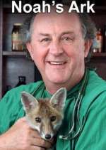 Watch Noah's Ark FMoviesFree