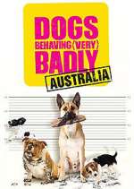 Watch Dogs Behaving (Very) Badly Australia FMoviesFree