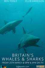 Watch Britain's Whales and Sharks FMoviesFree