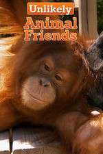 Watch Unlikely Animal Friends FMoviesFree