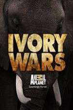 Watch Ivory Wars FMoviesFree