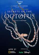 Watch Secrets of the Octopus FMoviesFree