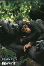 Watch Hello World! FMoviesFree