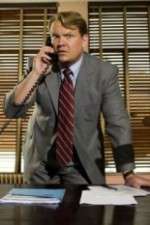 Watch Andy Barker, P.I. FMoviesFree