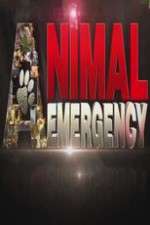 Watch Animal Emergency FMoviesFree