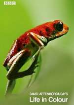Watch Attenborough's Life in Colour FMoviesFree