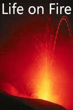 Watch Life on Fire FMoviesFree