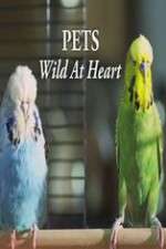 Watch Pets - Wild at Heart FMoviesFree