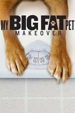 Watch My Big Fat Pet Makeover FMoviesFree
