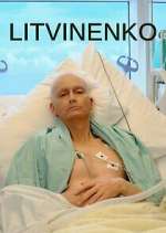 Watch Litvinenko FMoviesFree