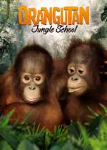 Watch Orangutan Jungle School FMoviesFree