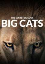 Watch The Secret Lives of Big Cats FMoviesFree