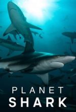 Watch Planet Shark FMoviesFree