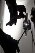 Watch Britain's Crime Capitals FMoviesFree