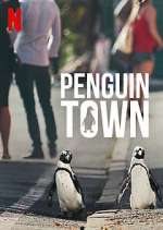 Watch Penguin Town FMoviesFree