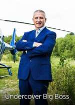 Watch Undercover Big Boss FMoviesFree