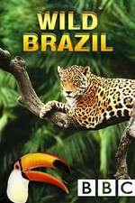 Watch Wild Brazil FMoviesFree
