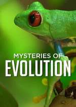 Watch Mysteries of Evolution FMoviesFree