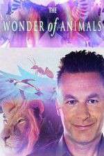 Watch The Wonder of Animals FMoviesFree