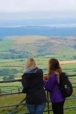 Watch Walks of Life FMoviesFree