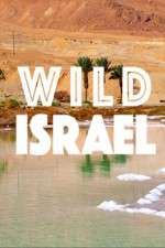 Watch Wild Israel FMoviesFree