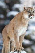 Watch Race of Life FMoviesFree